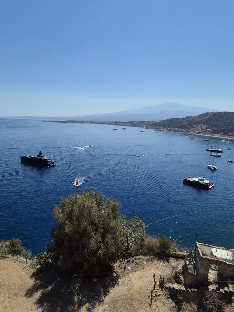 20240715_152423-768x1024